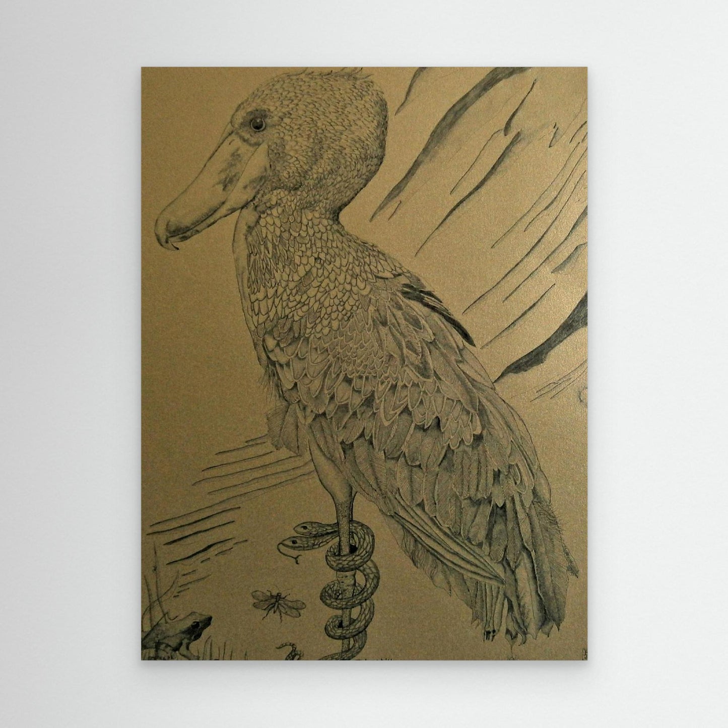 The Shoebill