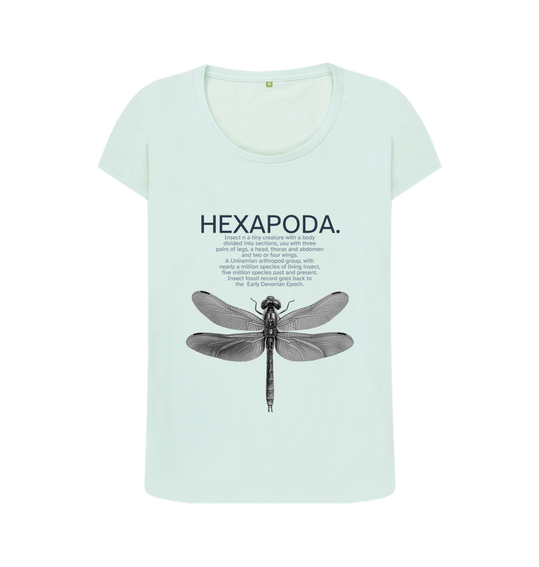 Baby Blue Printed T-shirt