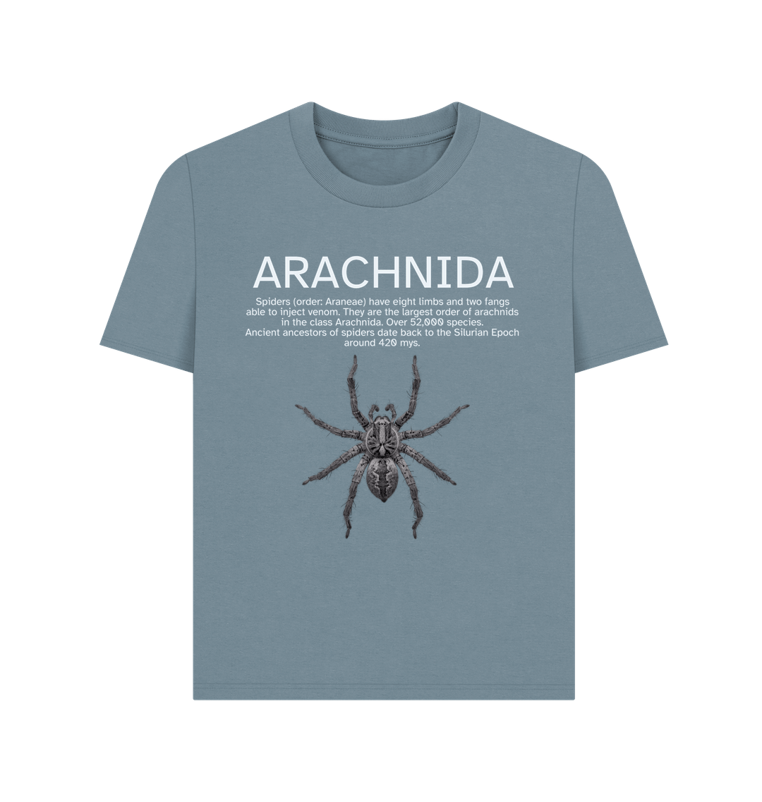 Stone Blue Printed T-shirt