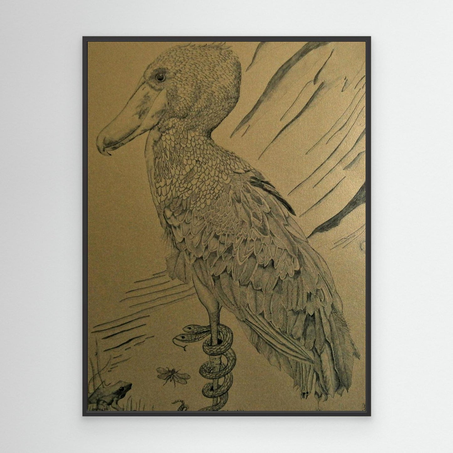 The Shoebill