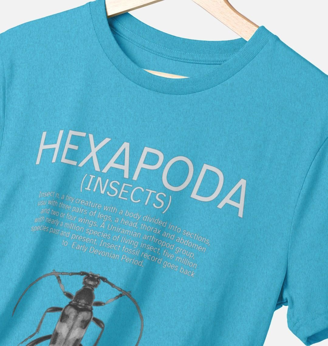 206814201