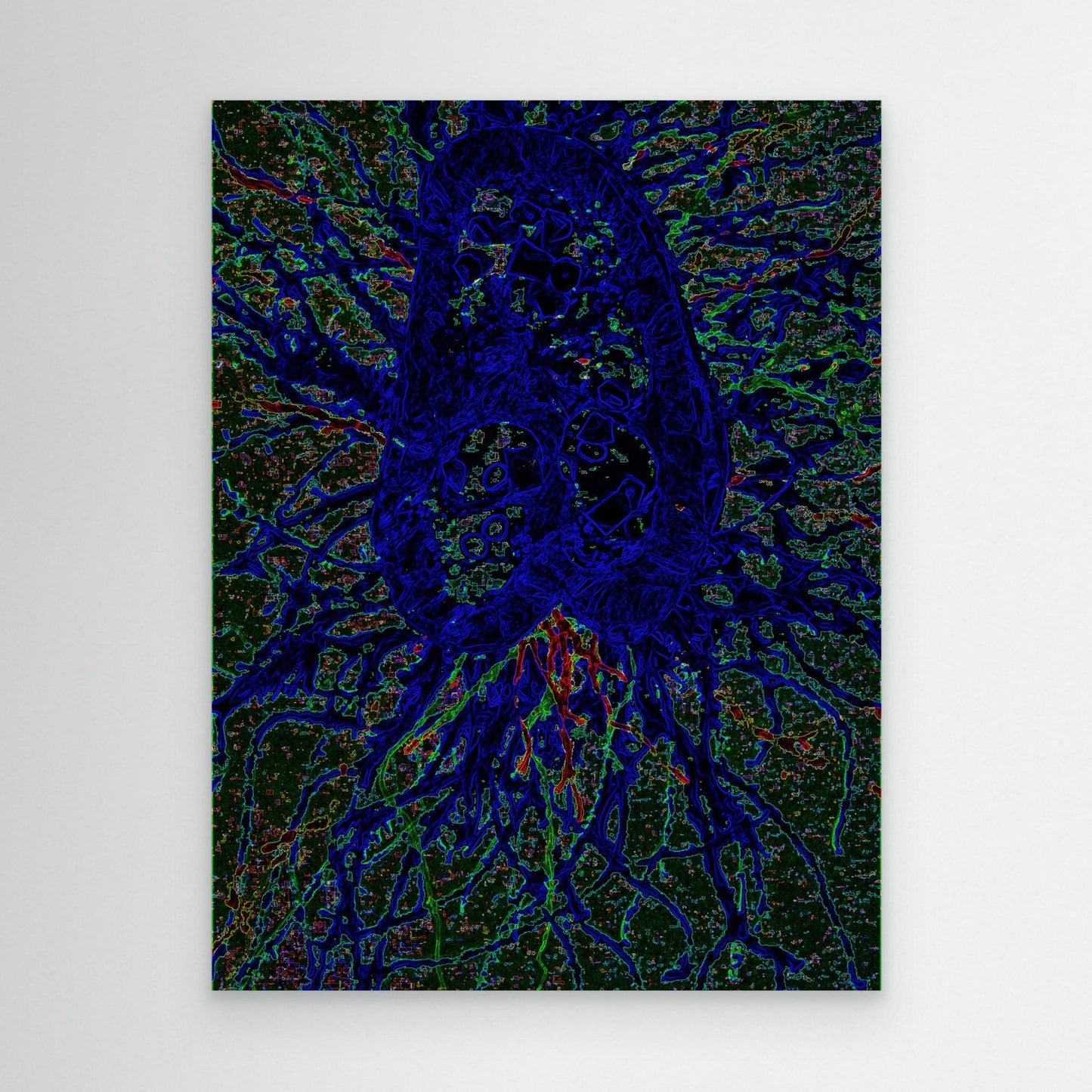 Ultramarine Jellyfish.