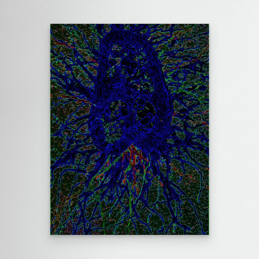 Ultramarine Jellyfish.