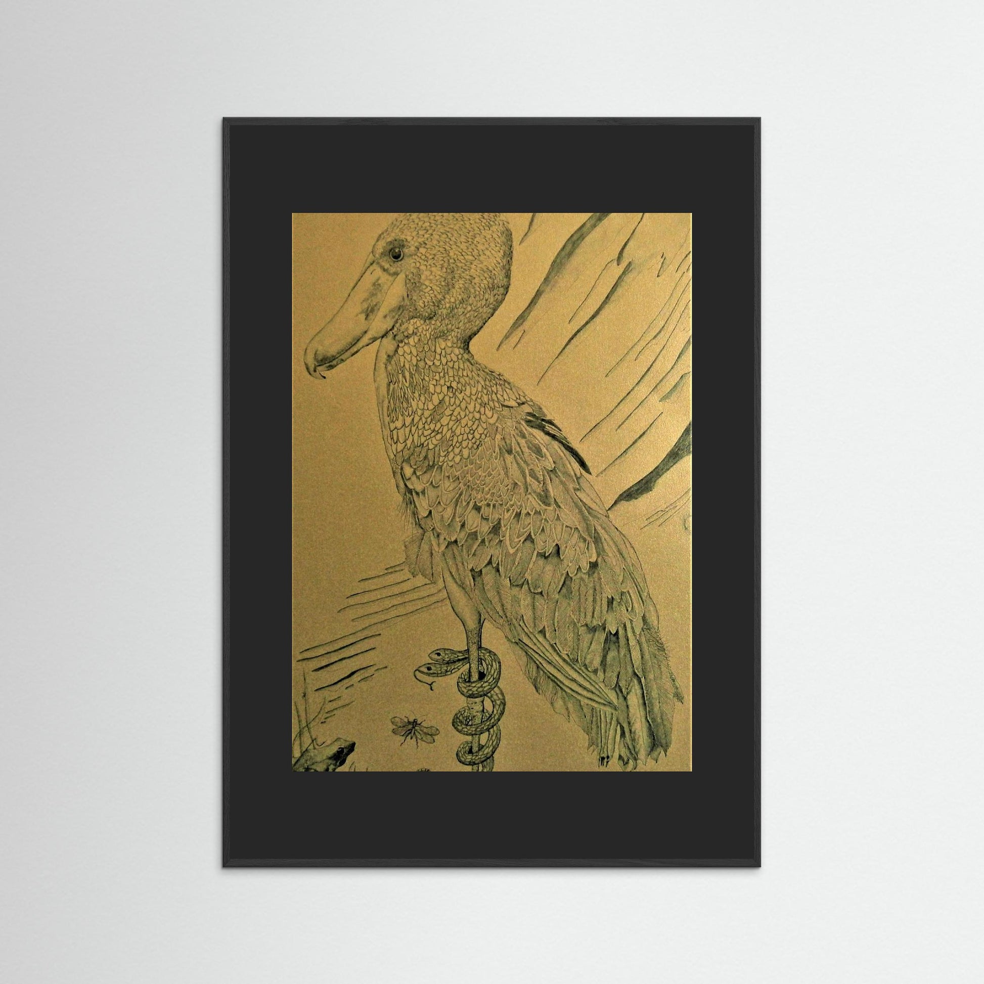 The Shoebill