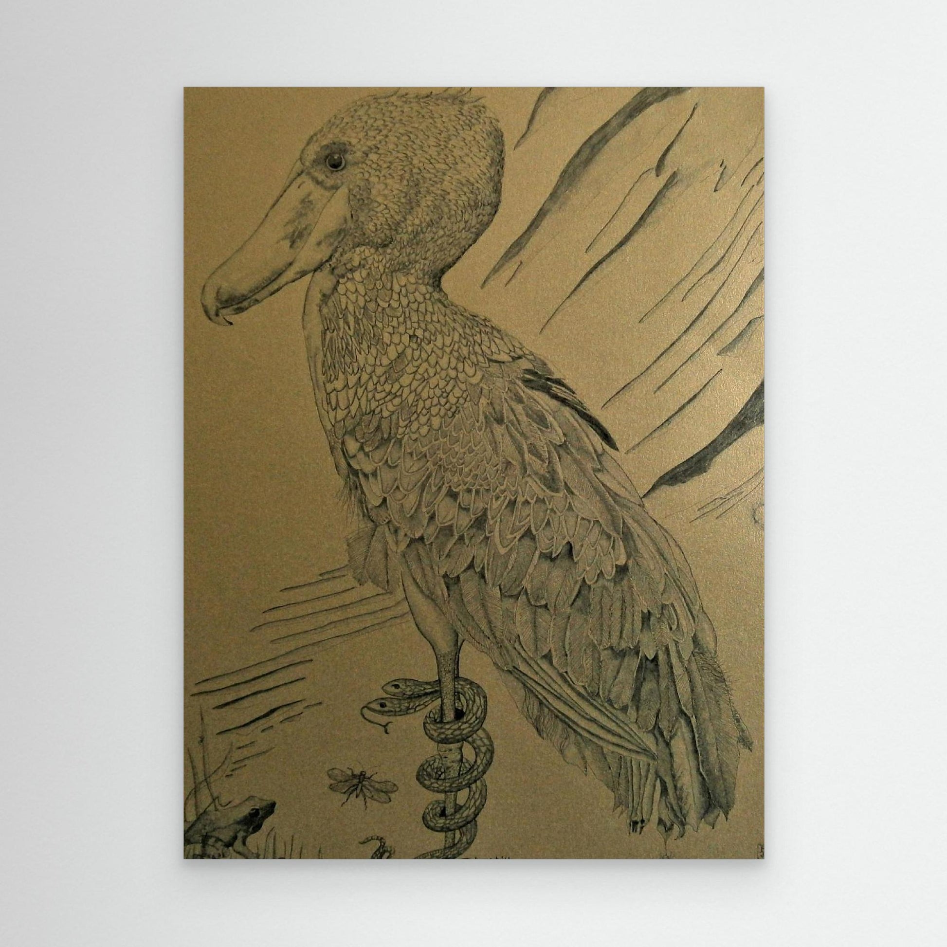 The Shoebill