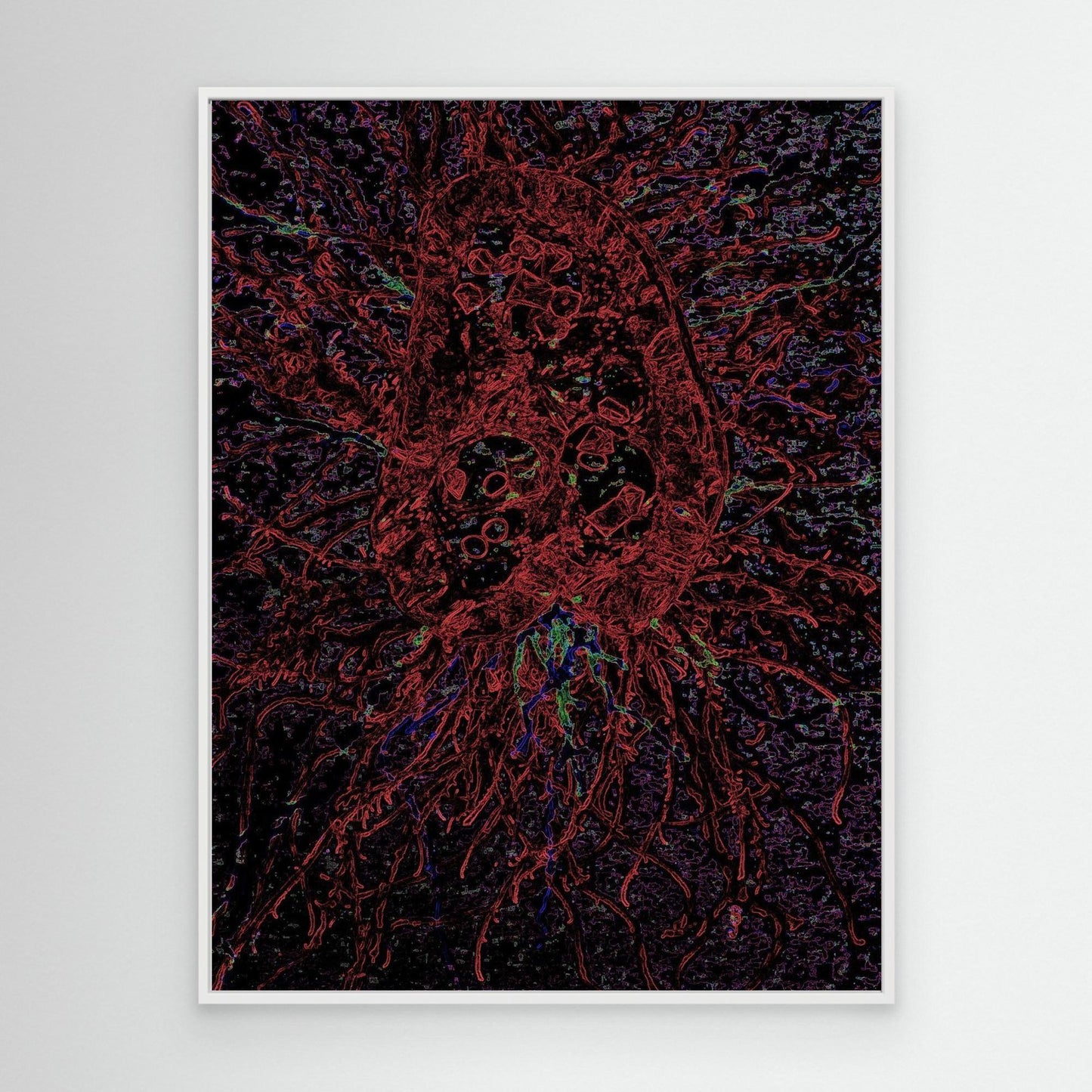 Crimson Jellyfish.