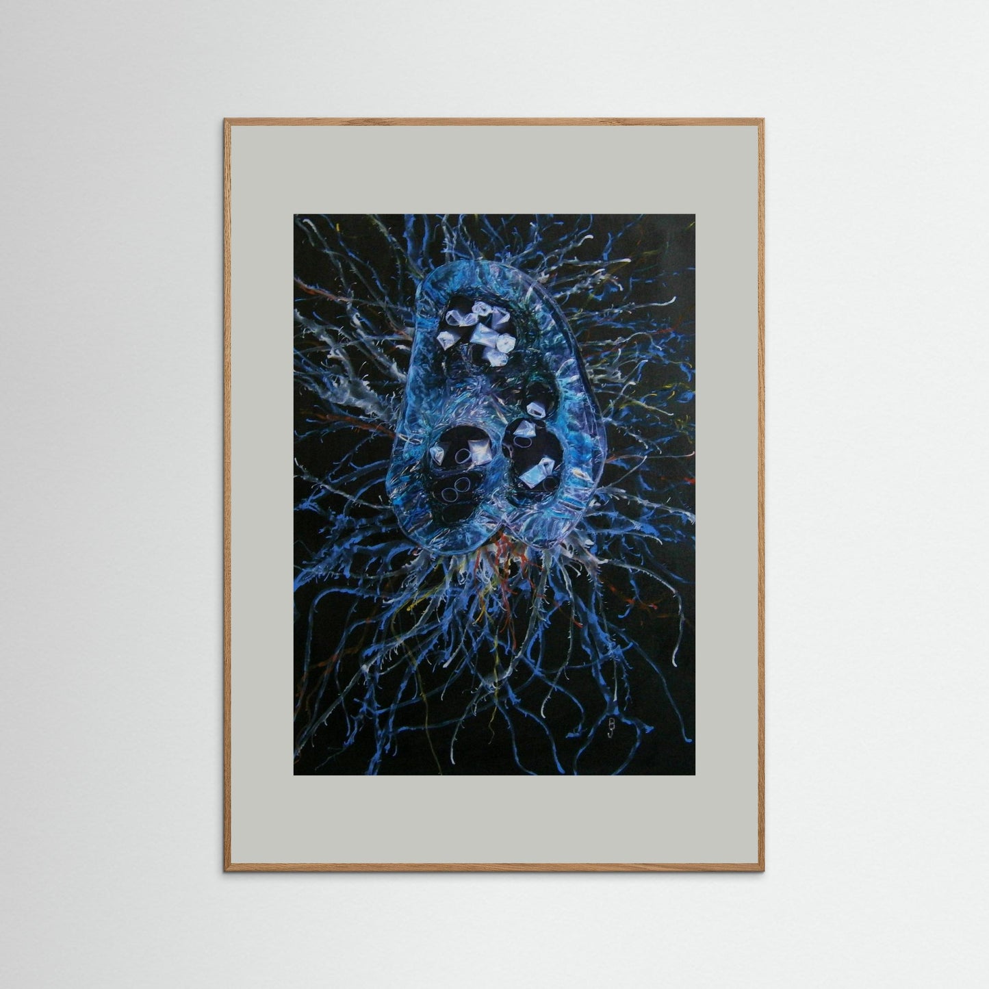 Jellyfish