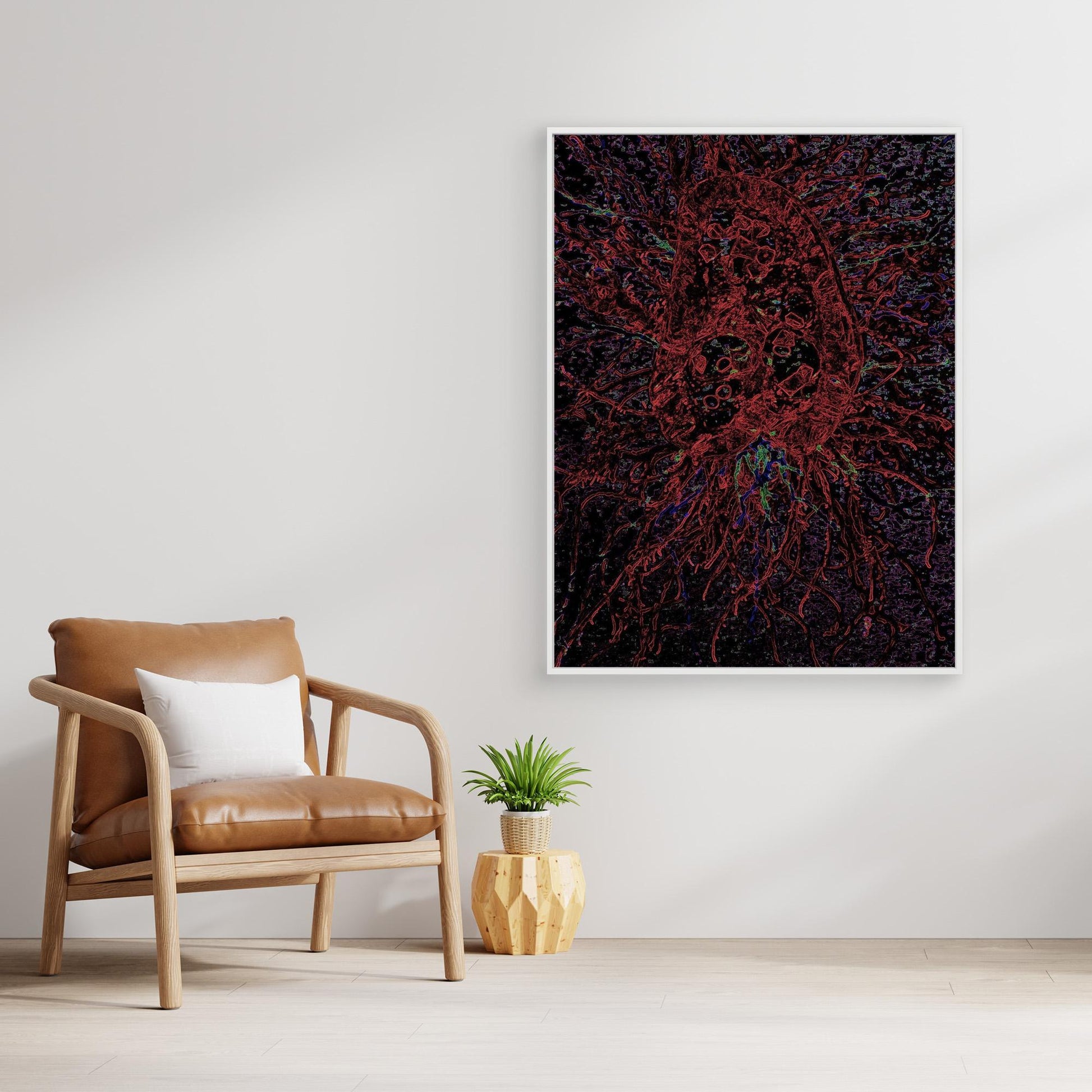 Crimson Jellyfish.