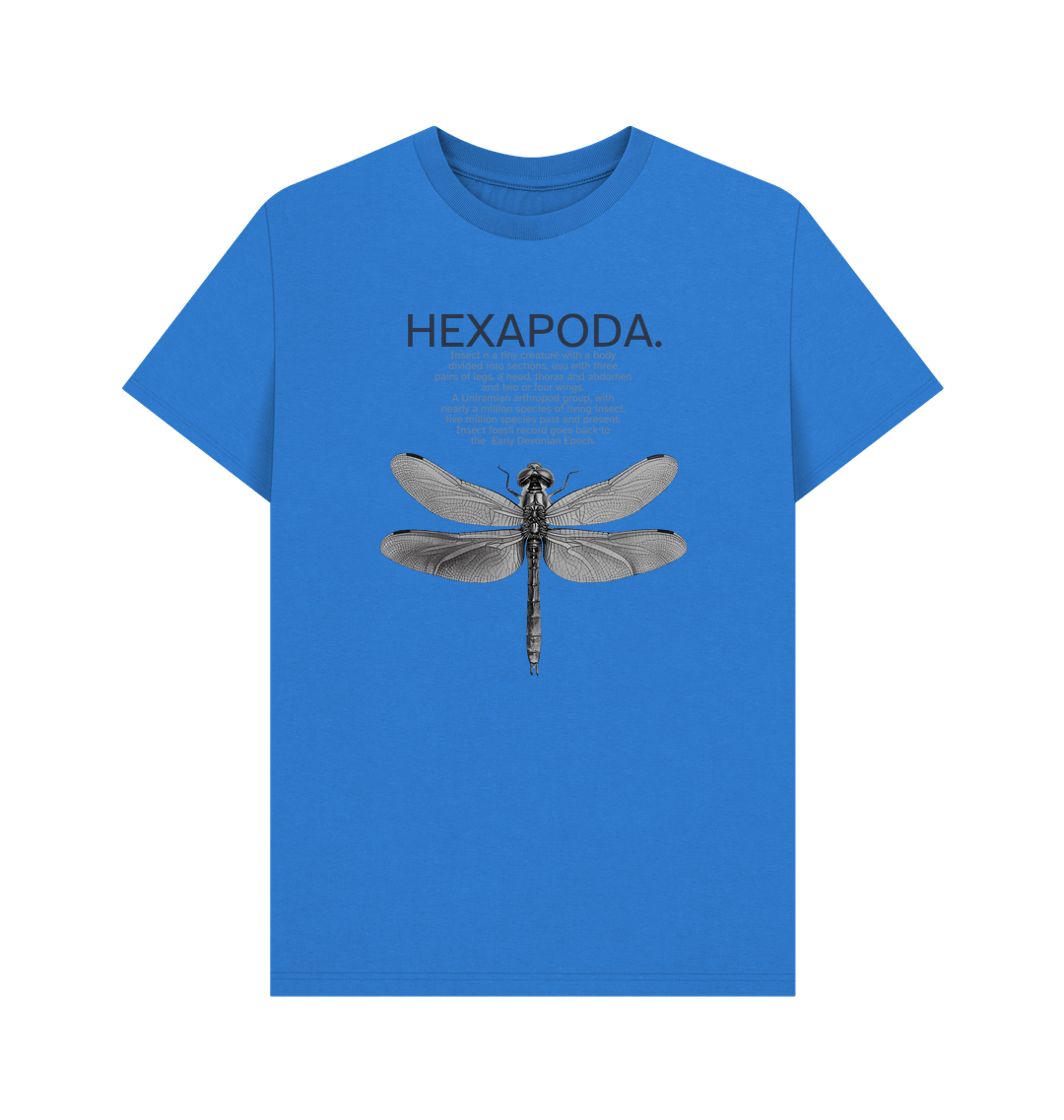 Bright Blue Printed T-shirt