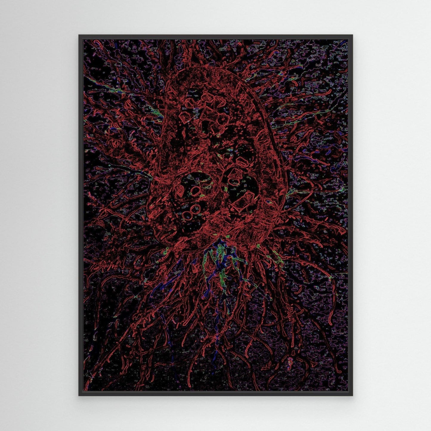 Crimson Jellyfish.