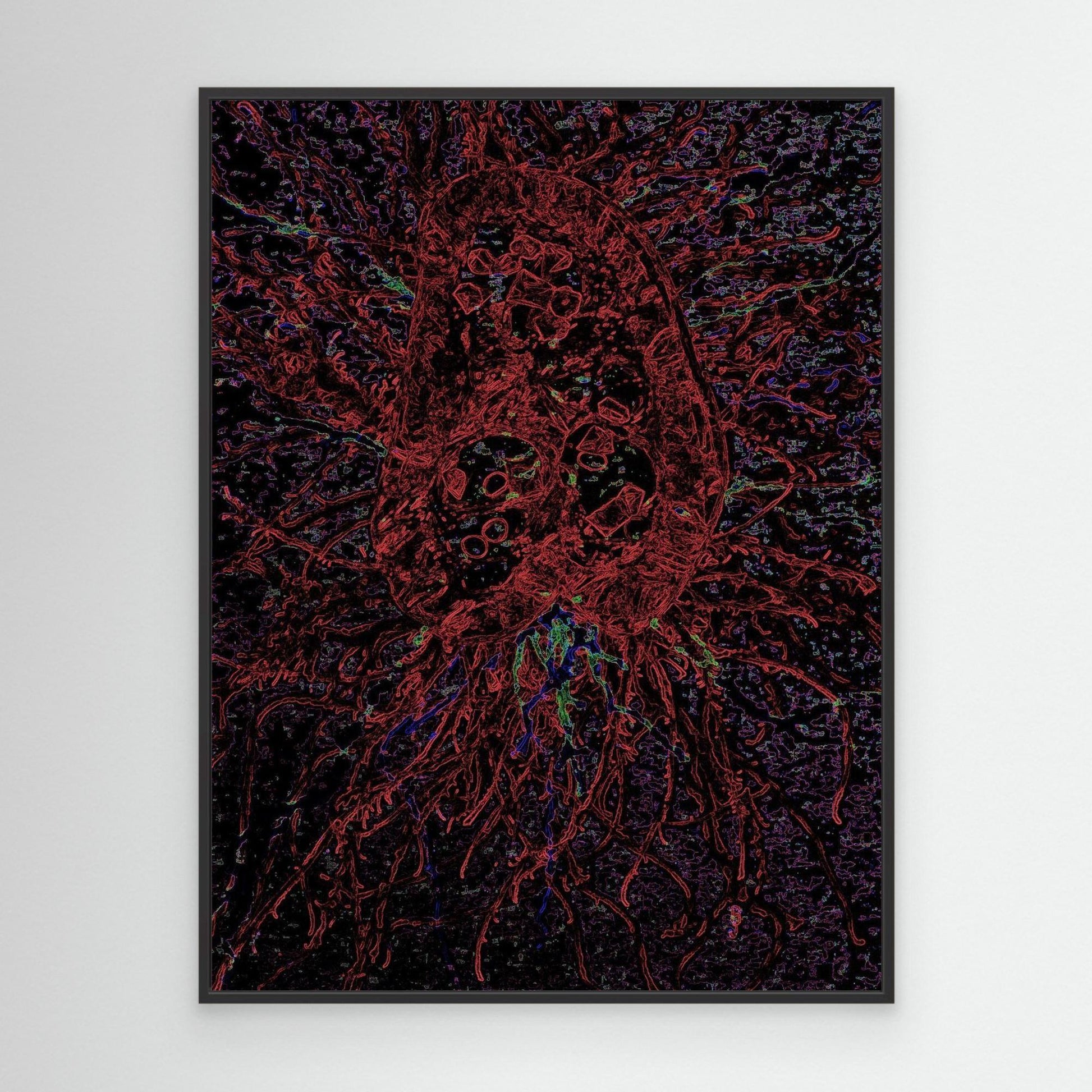 Crimson Jellyfish.