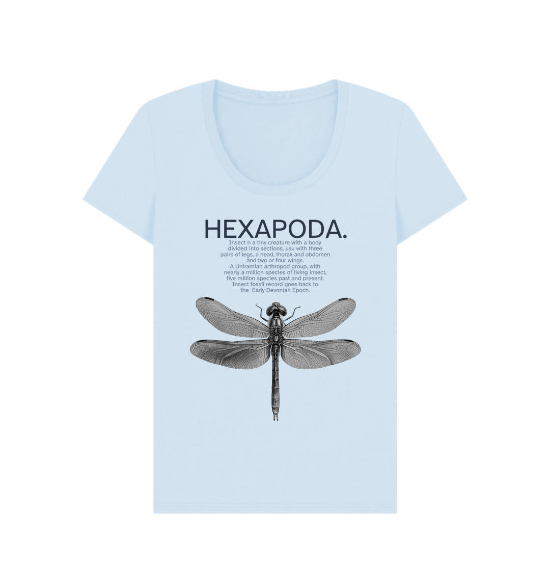 Sky Blue Printed T-shirt