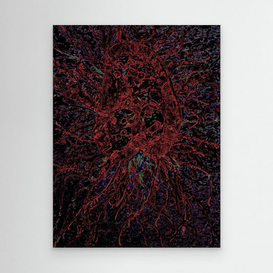 Crimson Jellyfish.