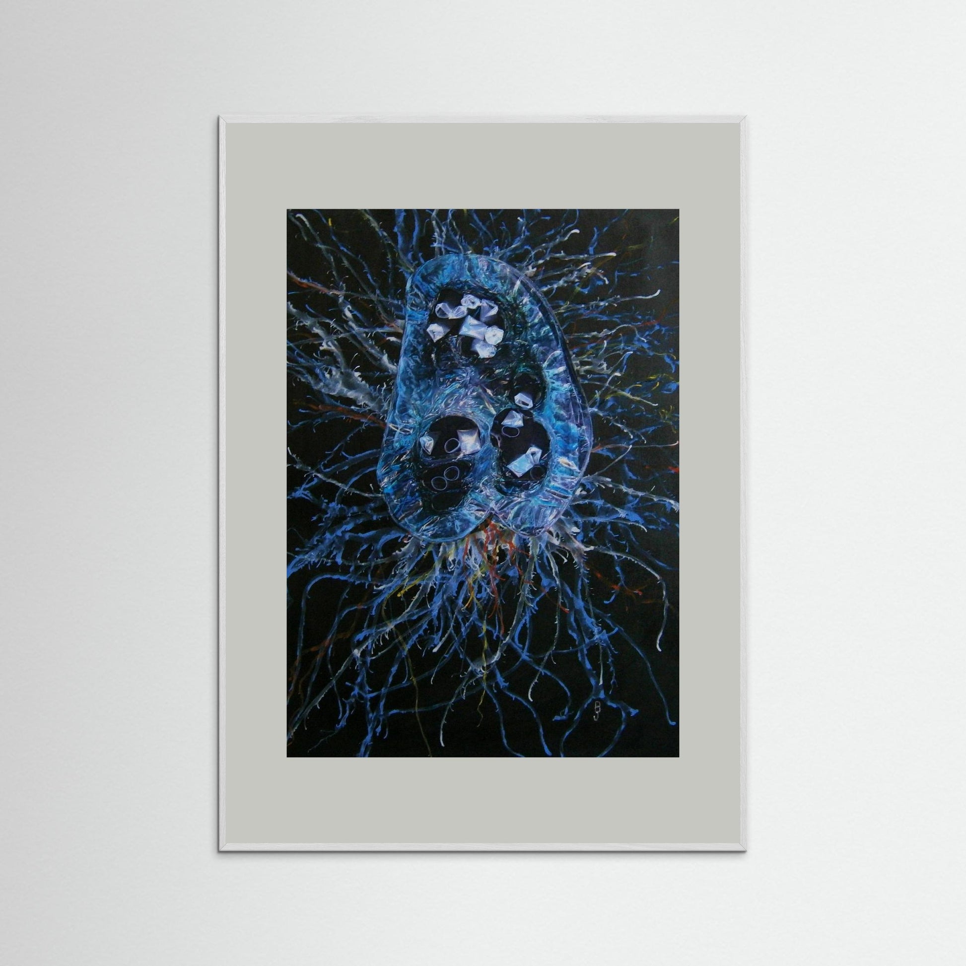 Jellyfish