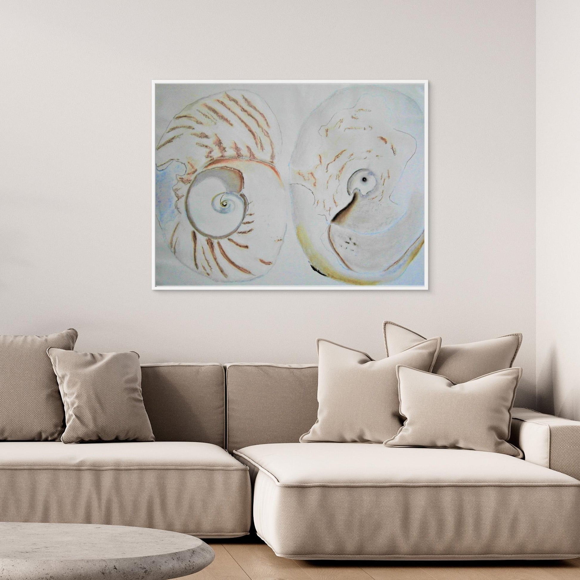 Sea Shells In White.