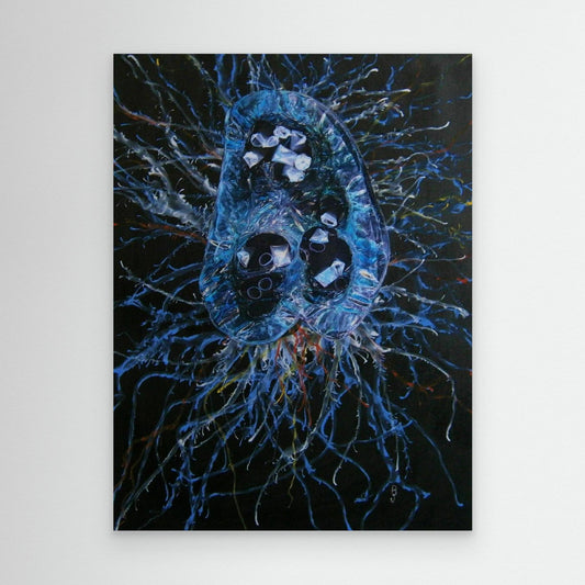 Jellyfish