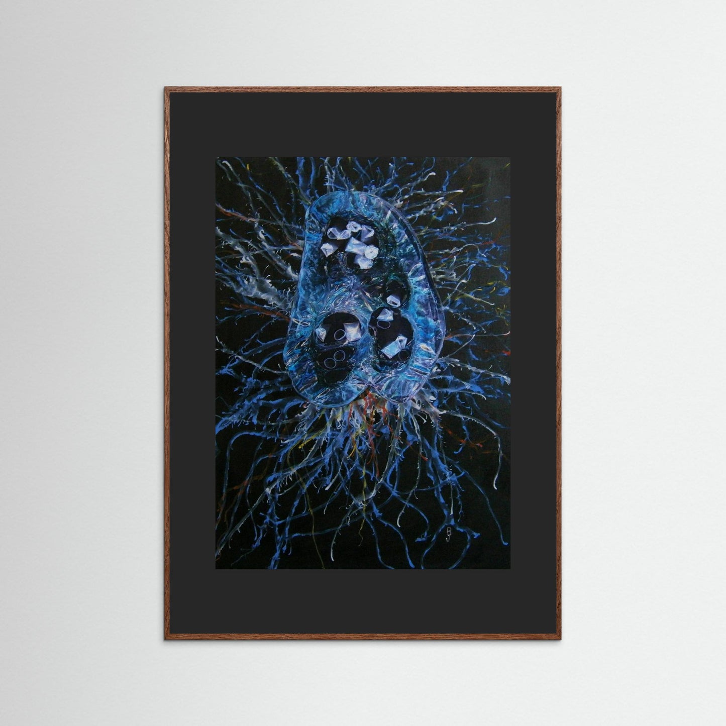 Jellyfish