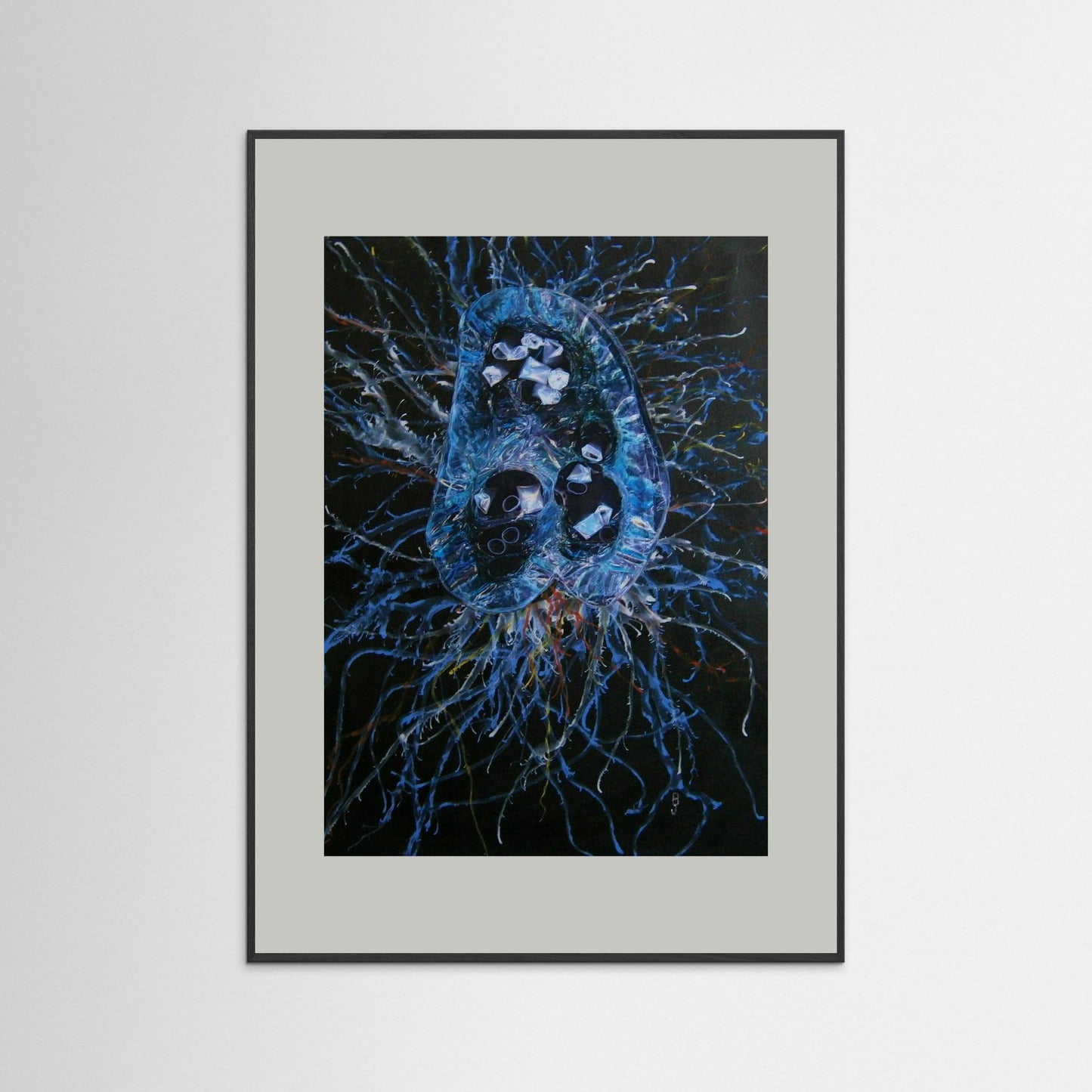 Jellyfish