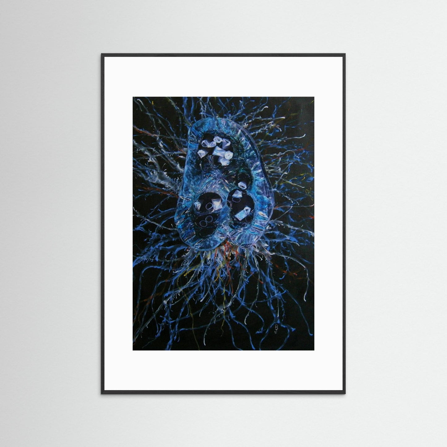 Jellyfish