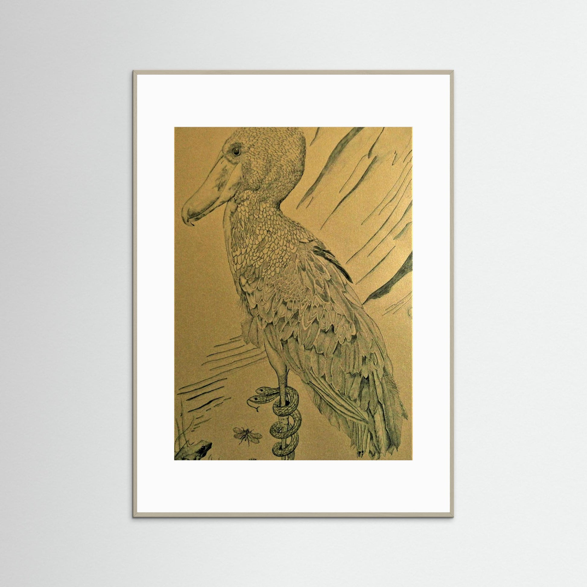 The Shoebill
