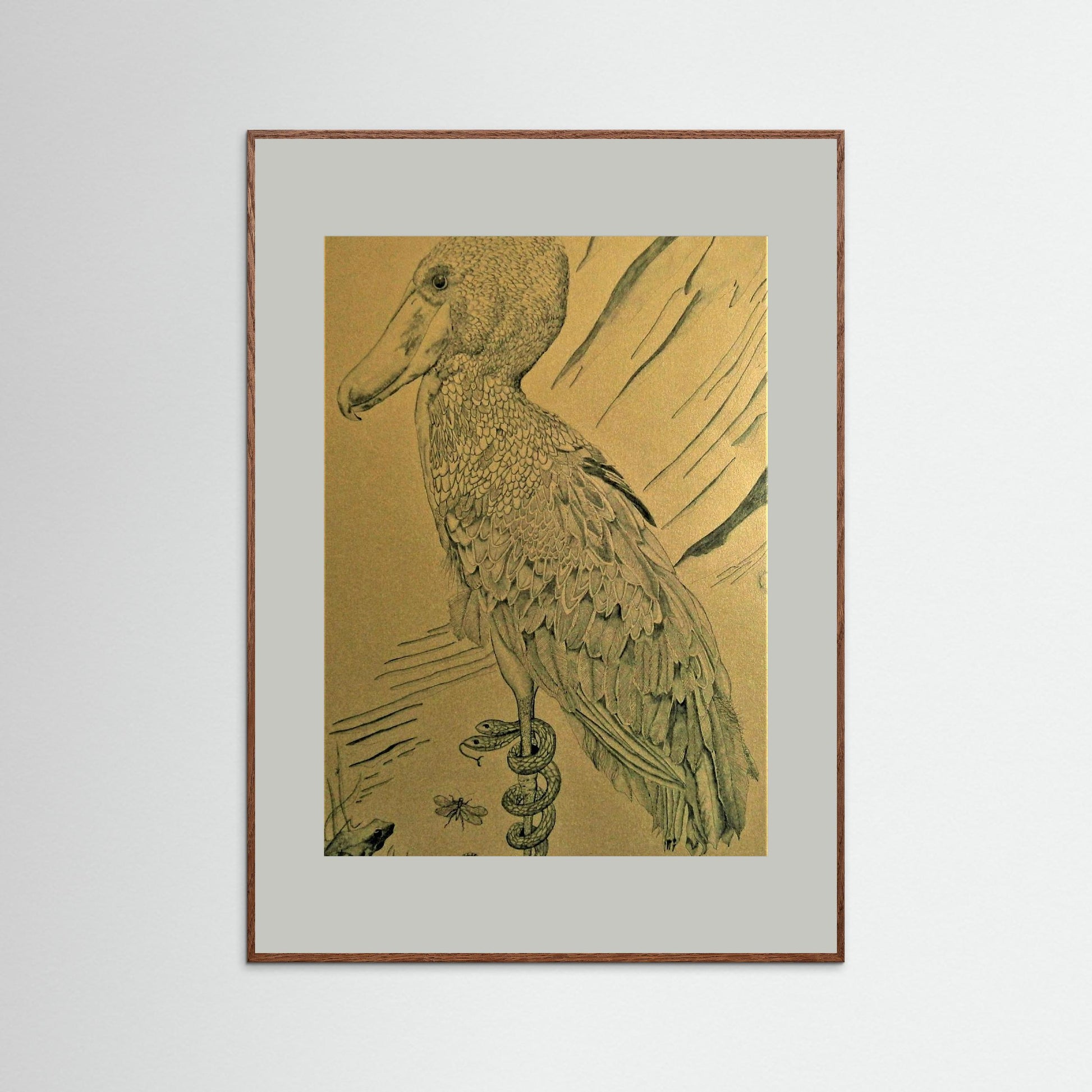 The Shoebill