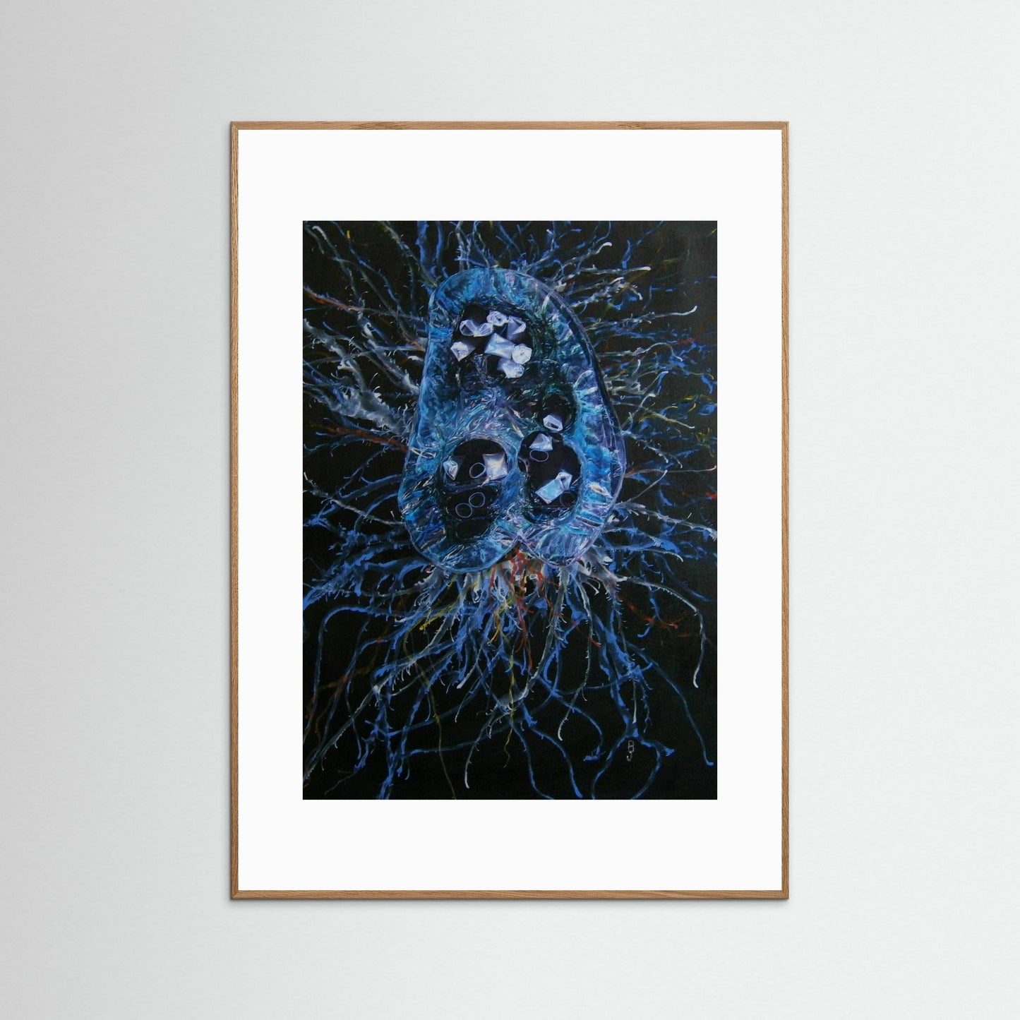 Jellyfish