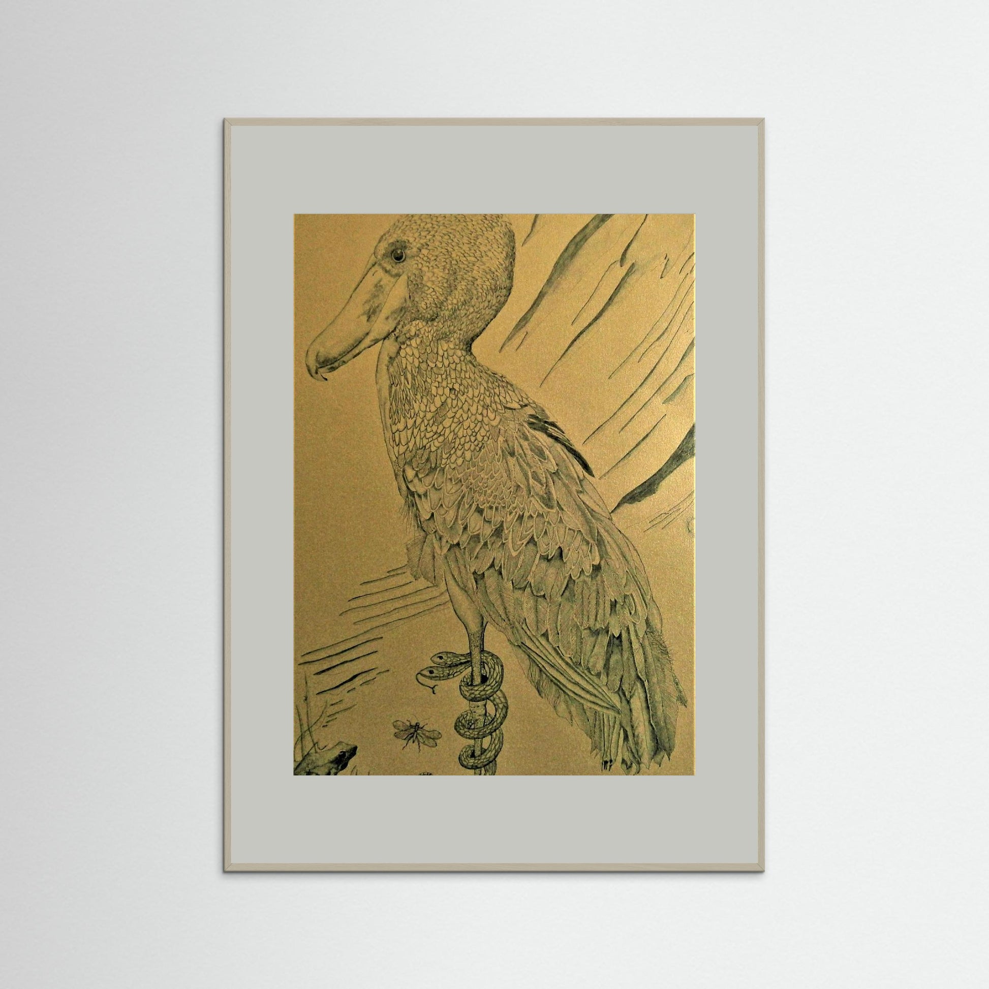 The Shoebill