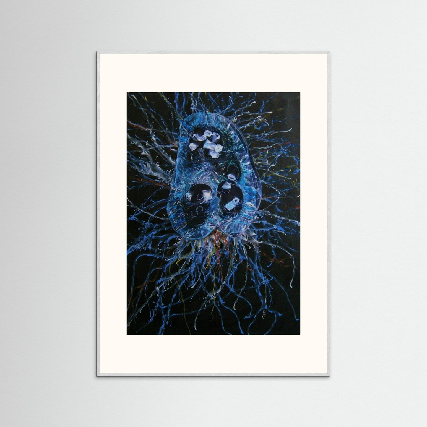 Jellyfish