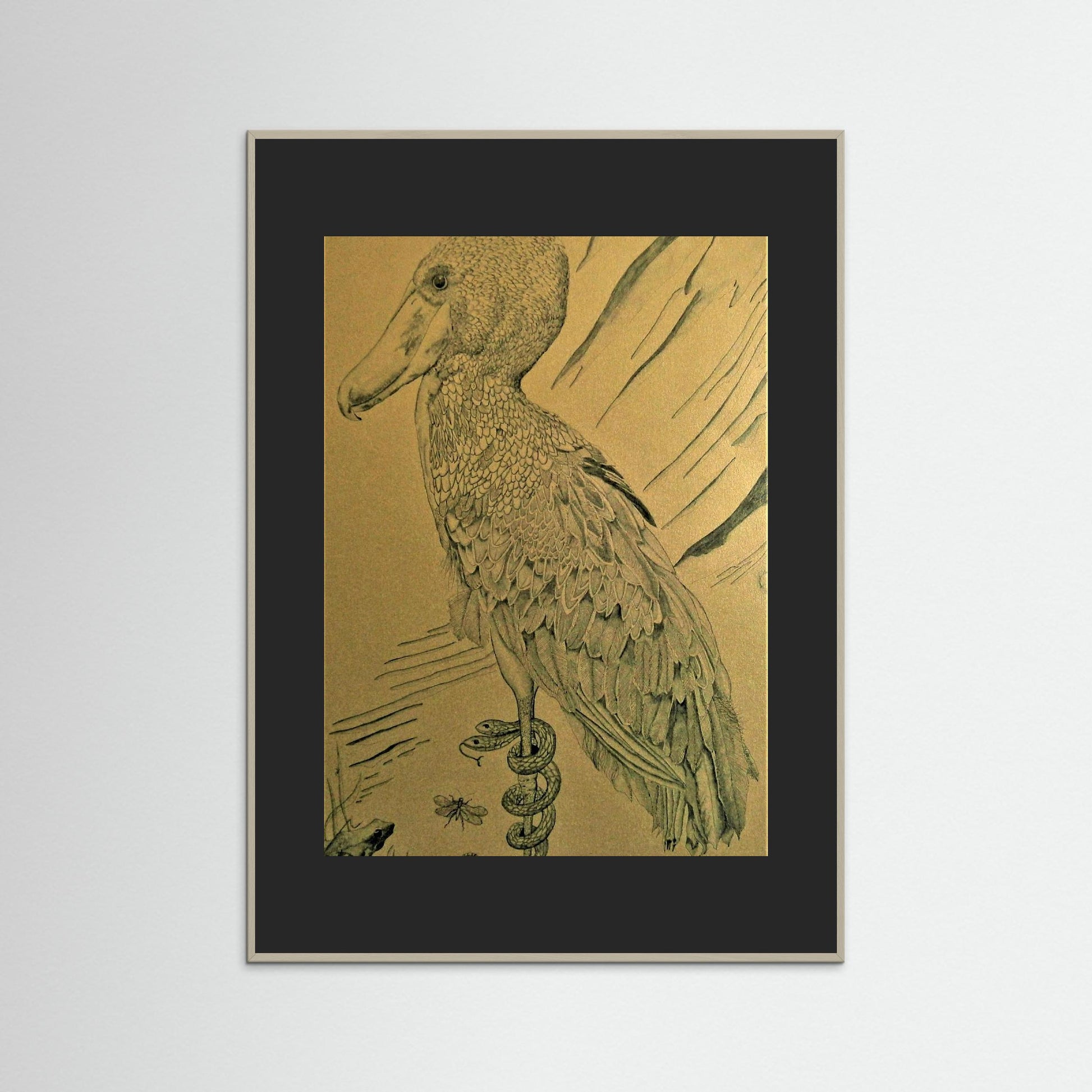 The Shoebill