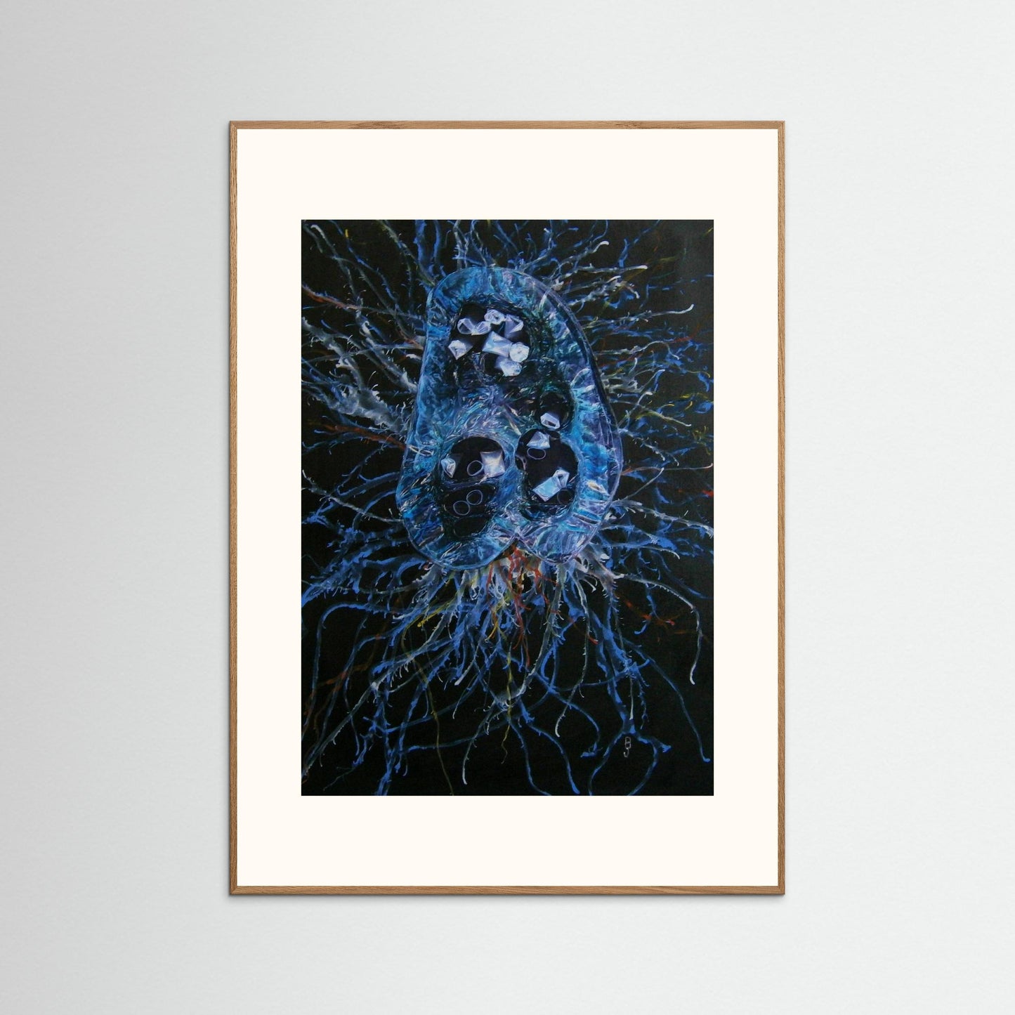 Jellyfish