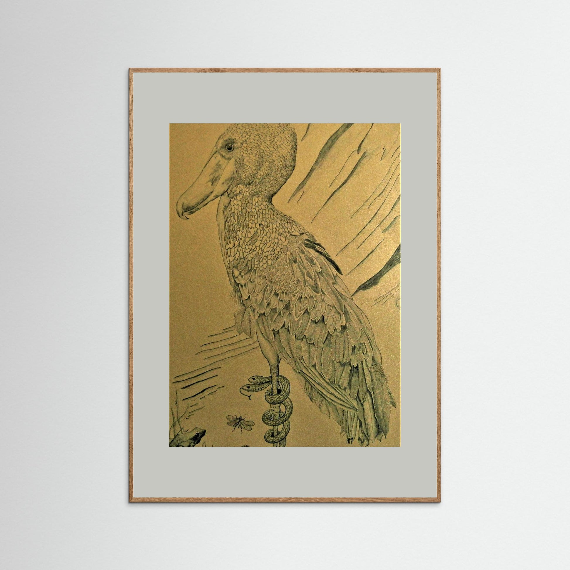 The Shoebill
