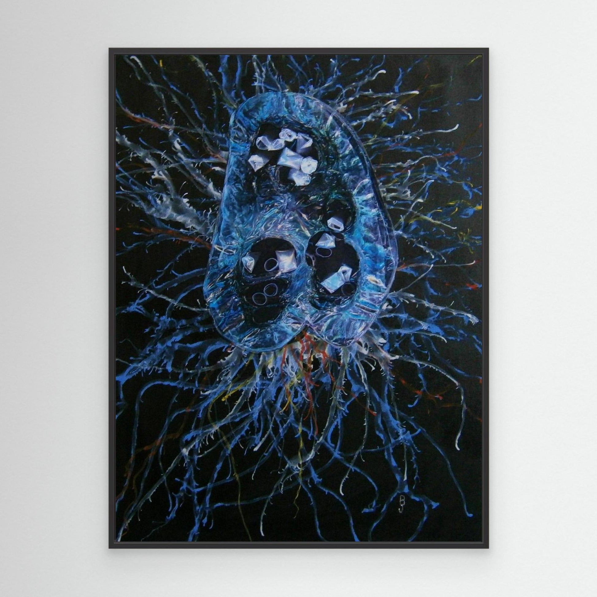 Jellyfish