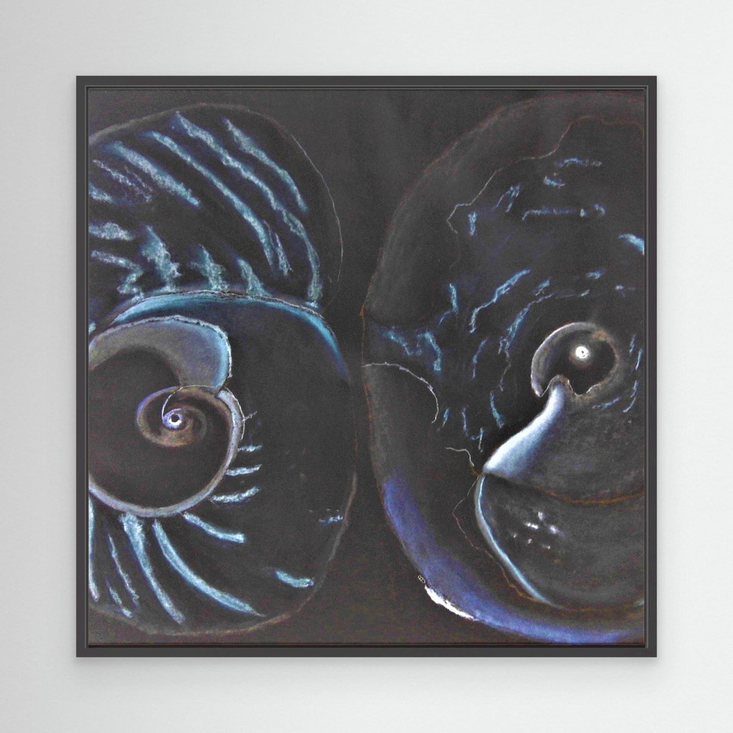 Sea Shells In Black.