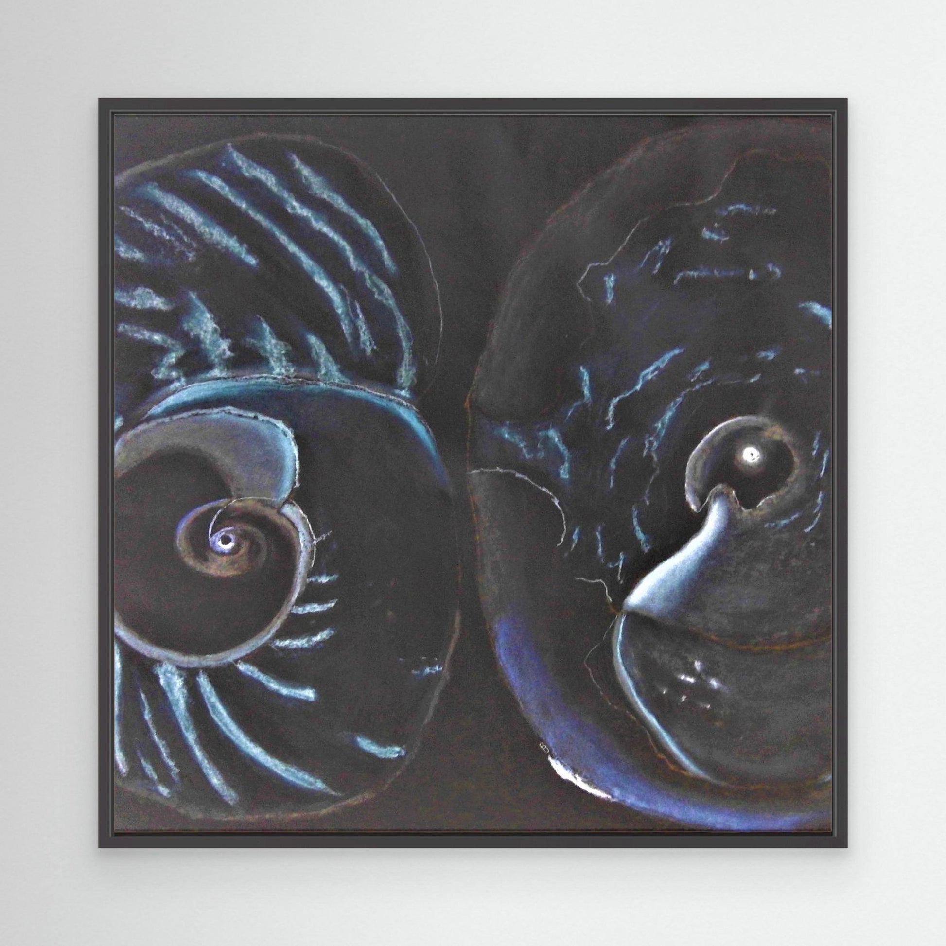 Sea Shells In Black.