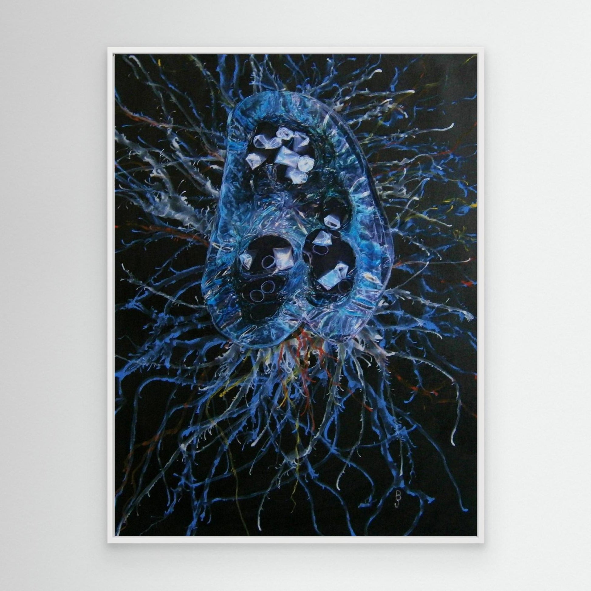 Jellyfish