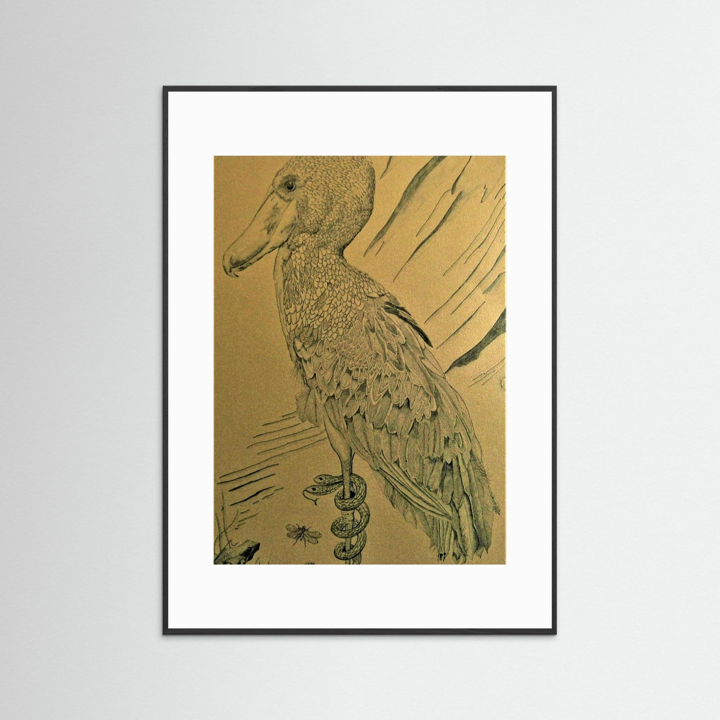 The Shoebill