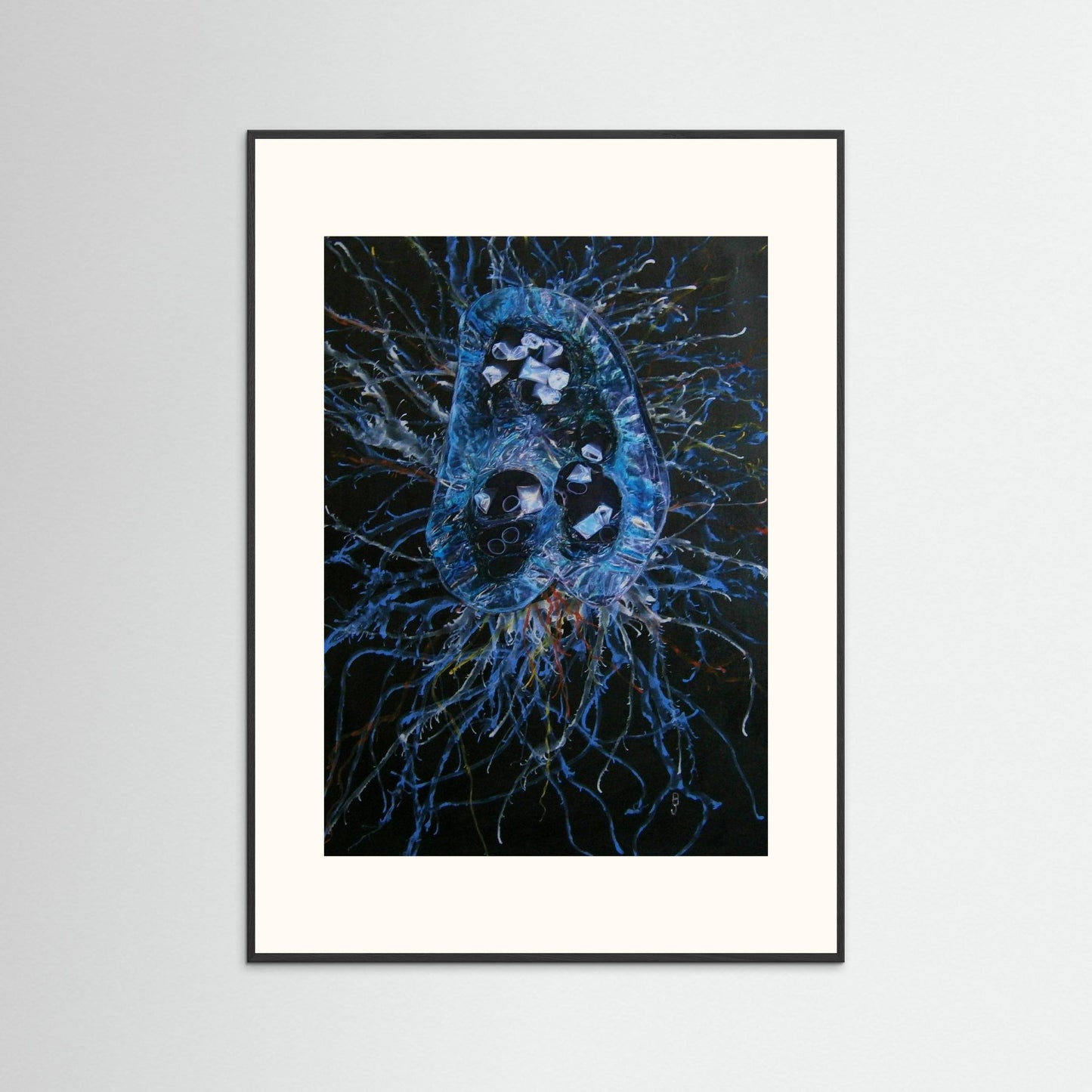 Jellyfish