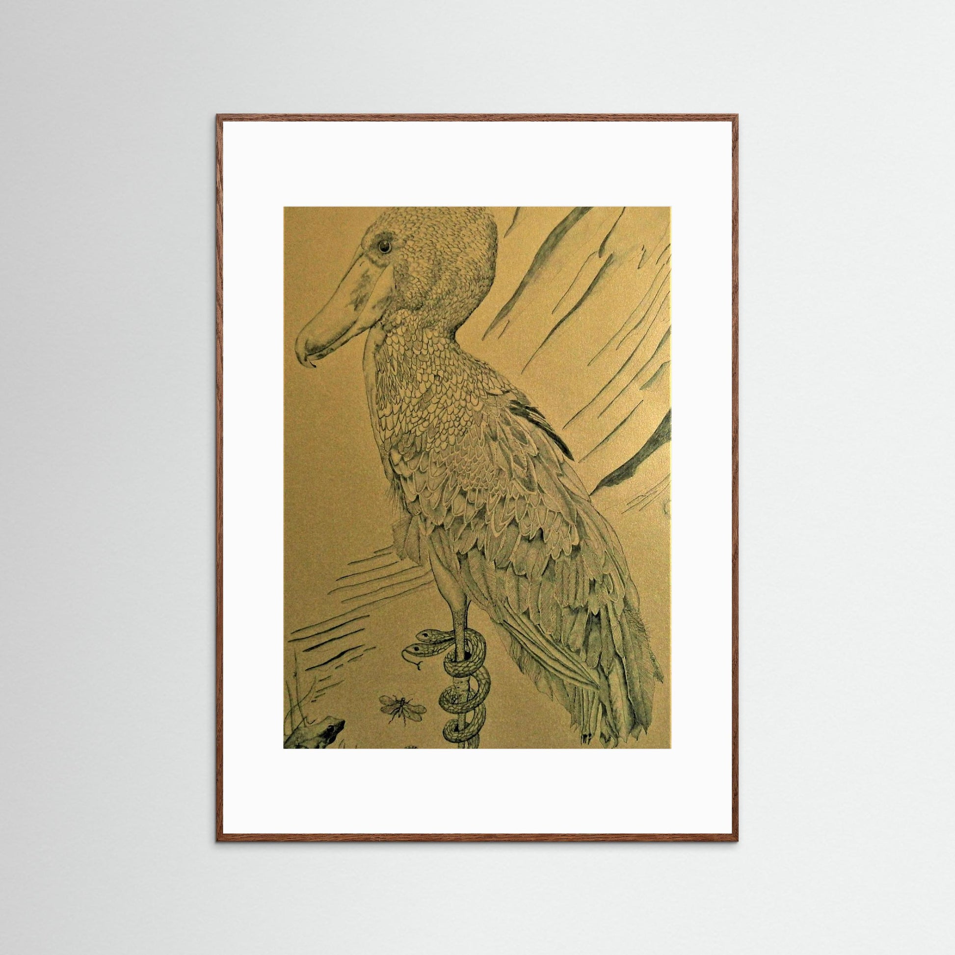 The Shoebill