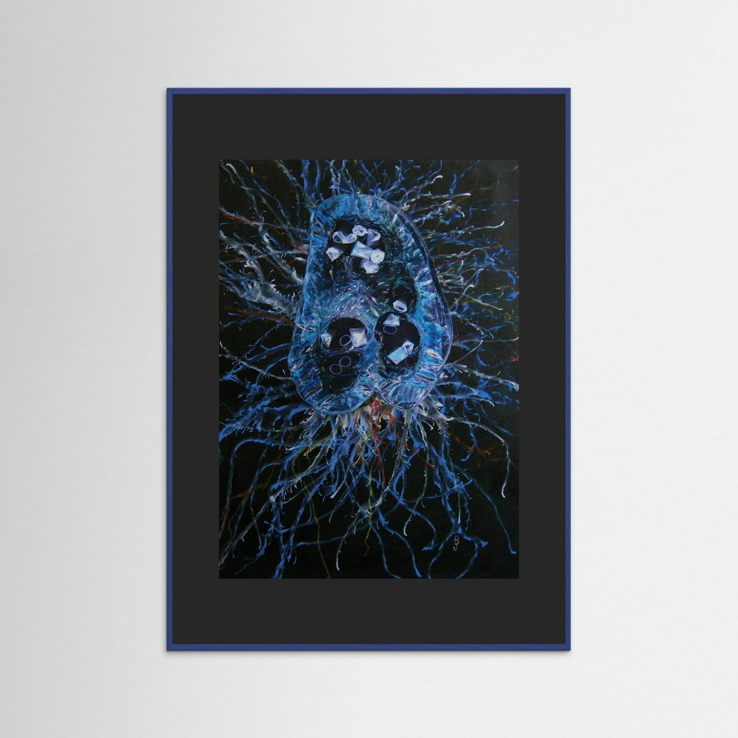 Jellyfish