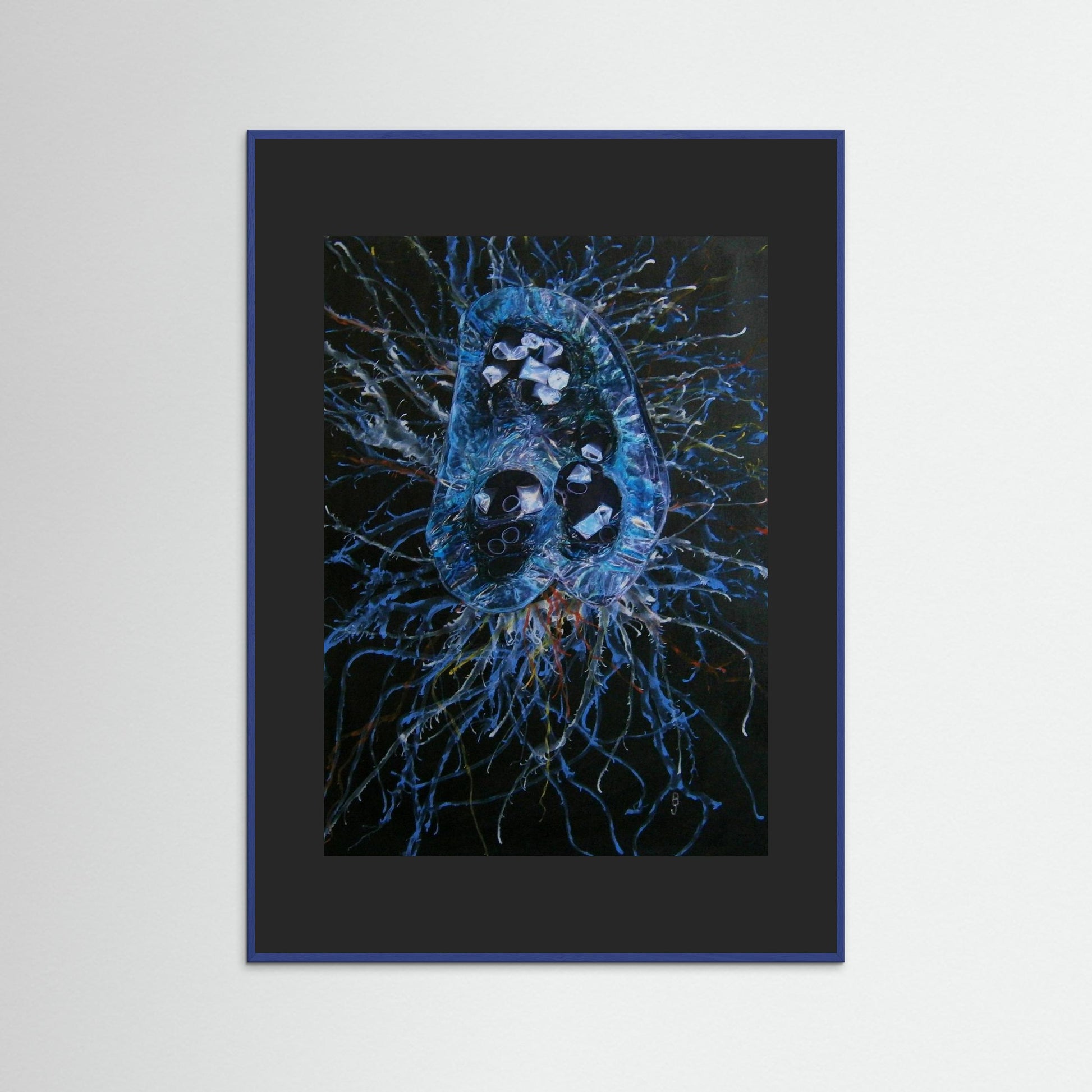 Jellyfish