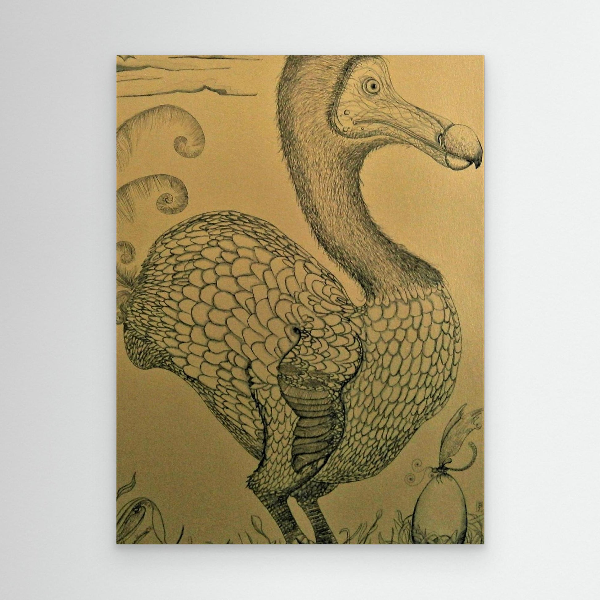 Dodo.