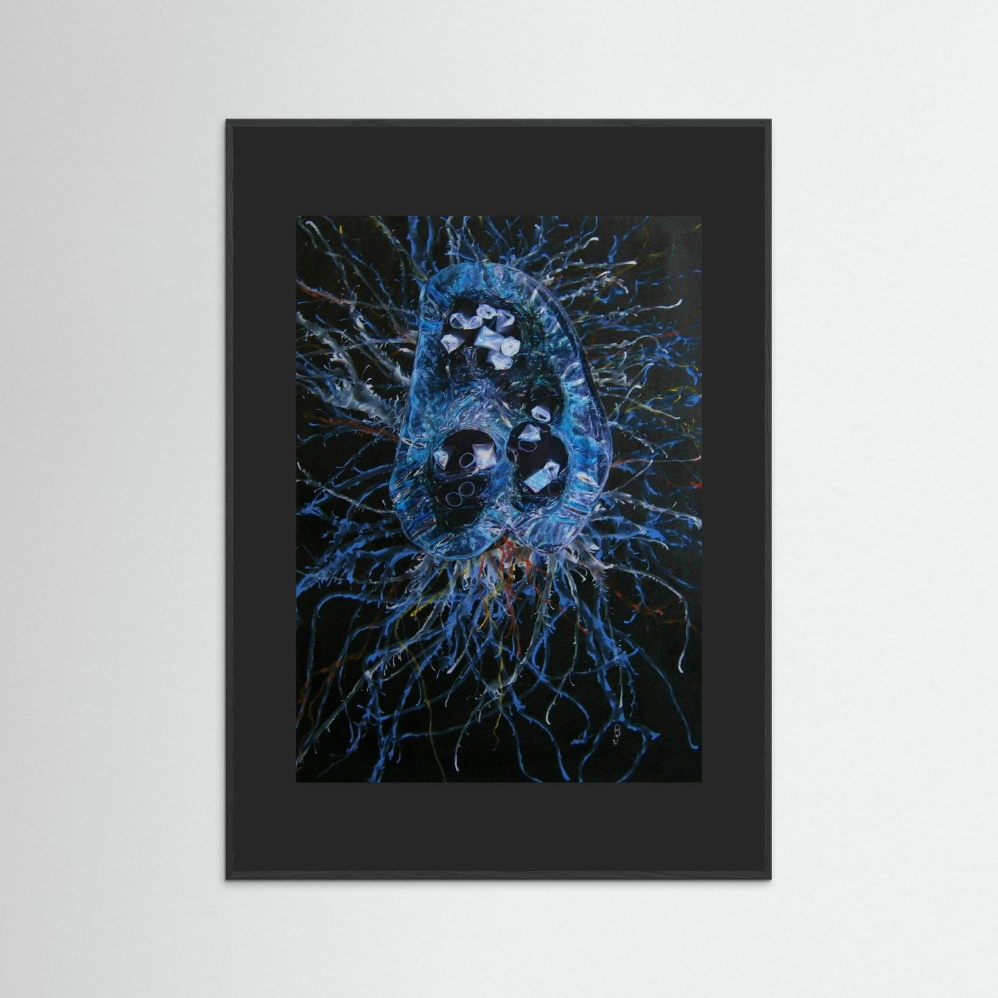 Jellyfish