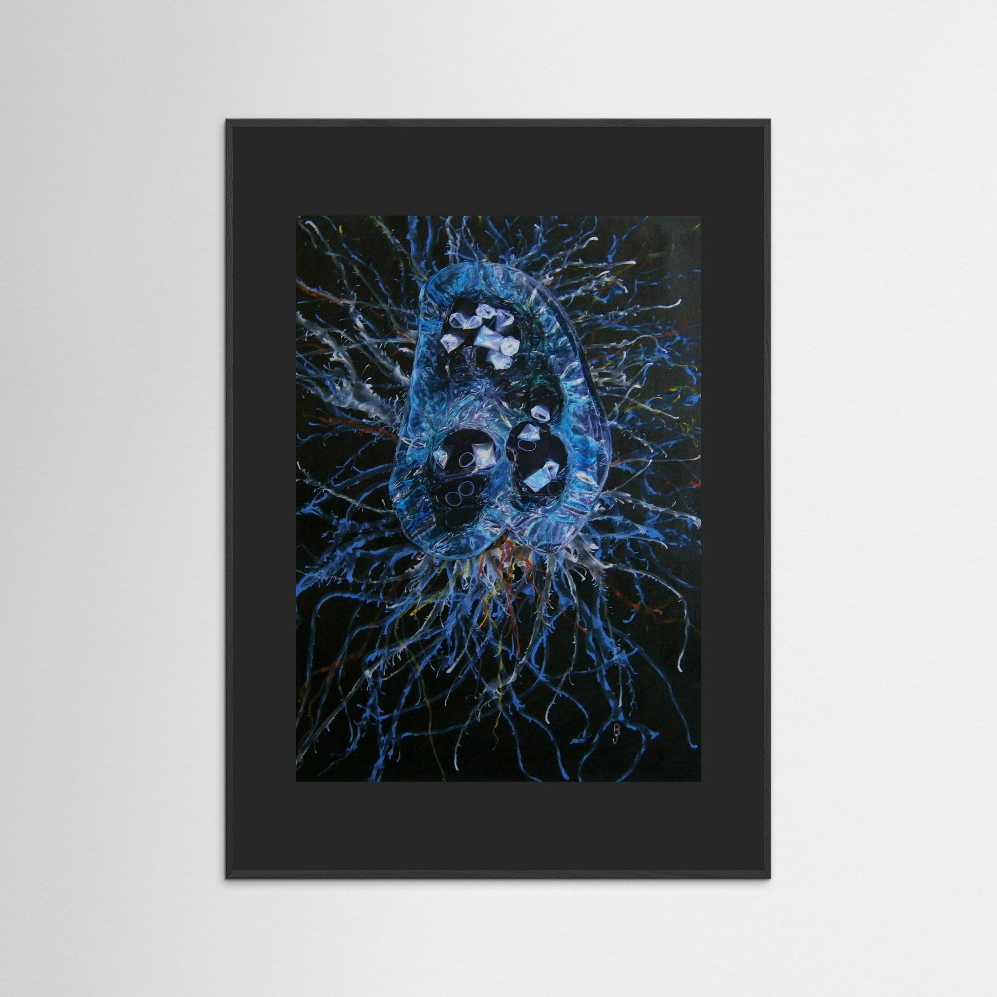 Jellyfish