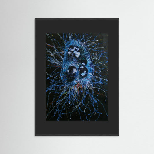 Jellyfish