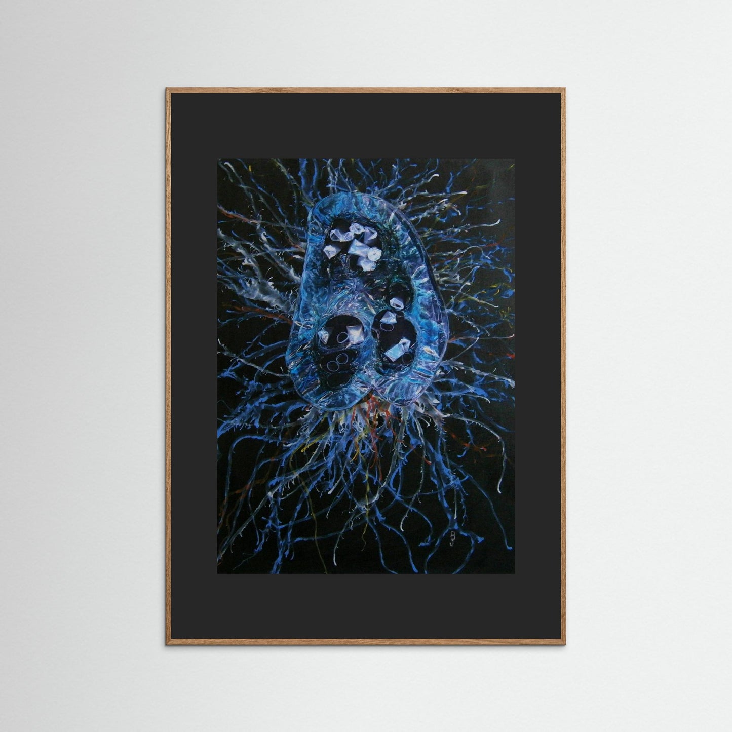 Jellyfish