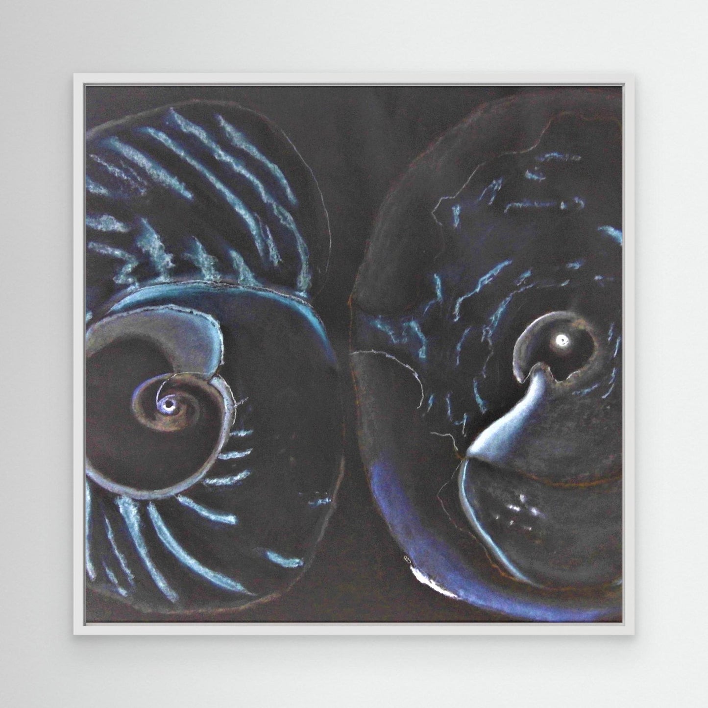 Sea Shells In Black.